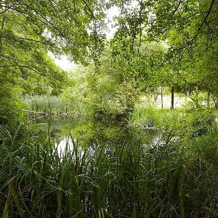 Un Petit Coin De Campagne Dans Le Pays De Saint-Gilles Villa Екстериор снимка